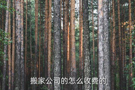 搬家公司的怎么收费的