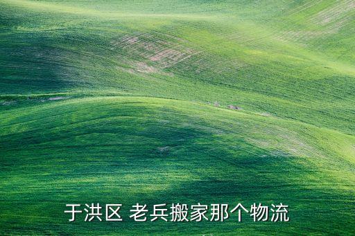 于洪区 老兵搬家那个物流