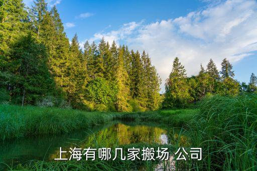 上海有哪几家搬场 公司