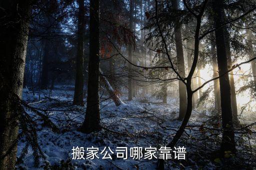 有没有帮忙打包搬家服务的平台