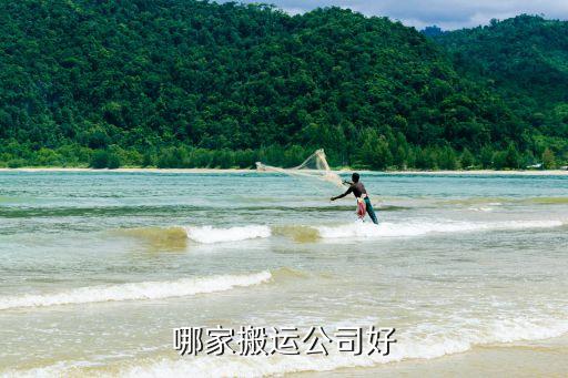 哪家搬运公司好
