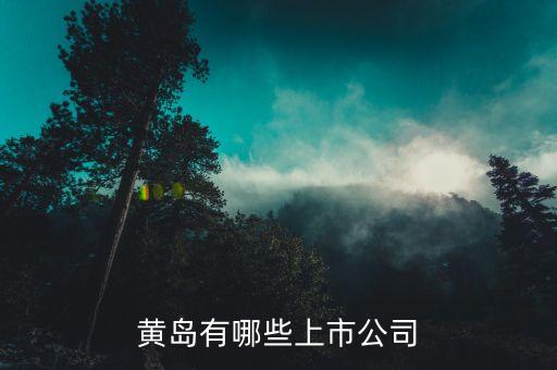 青岛浩海网络科技股份有限公司,逄增辉 青岛浩海网络科技股份有限公司