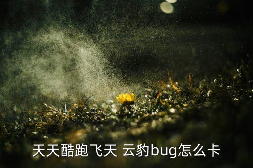天天酷跑飞天 云豹bug怎么卡