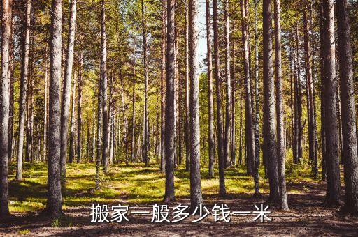 个人搬家需要多少钱合适,搬家大概需要多少钱