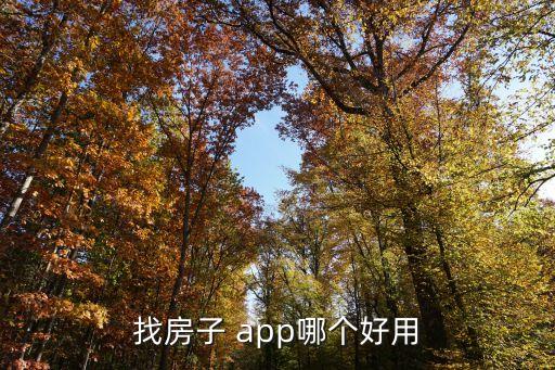 买房租房app十大排行榜,十大借款app排行榜正规