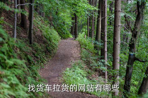 找货车拉货的网站有哪些