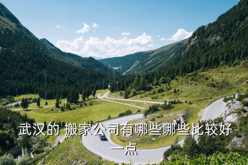  武汉的 搬家公司有哪些哪些比较好一点