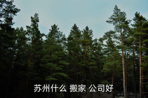 苏州什么 搬家 公司好
