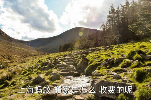上海蚂蚁 搬家是怎么 收费的呢