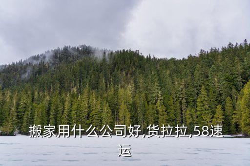  搬家用什么公司好,货拉拉,58速运