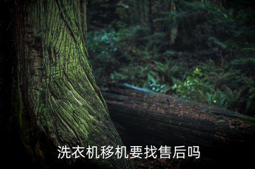 搬一个洗衣机找什么服务,搬一台洗衣机找谁