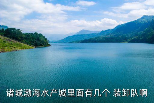 诸城渤海水产城里面有几个 装卸队啊
