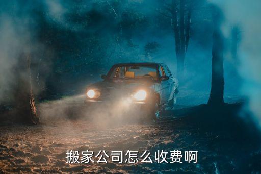  搬家公司怎么收费啊