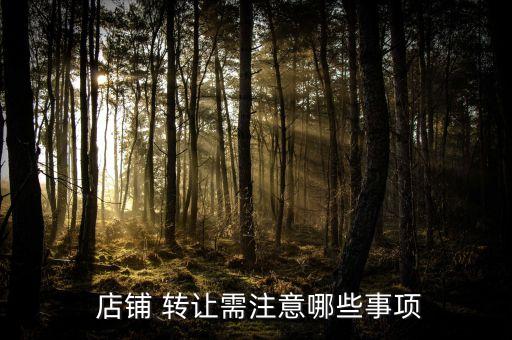  店铺 转让需注意哪些事项