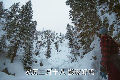 农历二月十八 搬家好吗