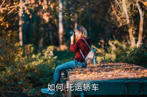 小车托运都有什么平台,十大汽车托运公司排行