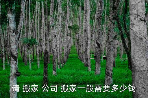 请 搬家 公司 搬家一般需要多少钱