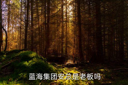  蓝海集团安总是老板吗