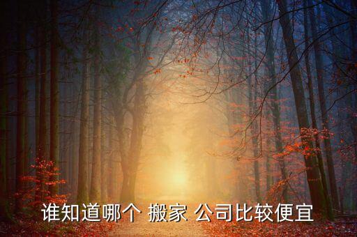 谁知道哪个 搬家 公司比较便宜