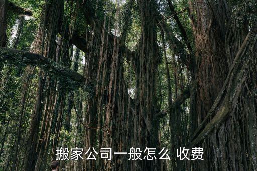 58同城搬家收费标准表