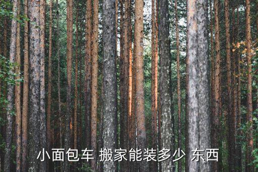 小面包车 搬家能装多少 东西