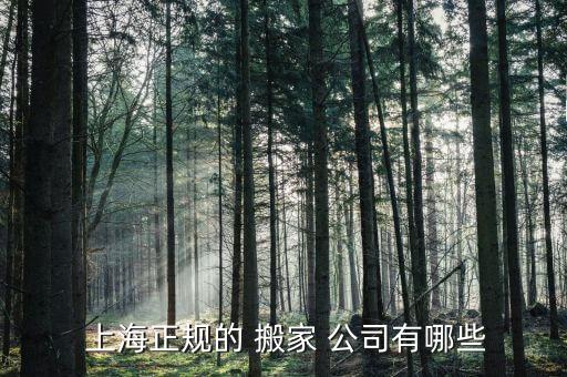  上海正规的 搬家 公司有哪些