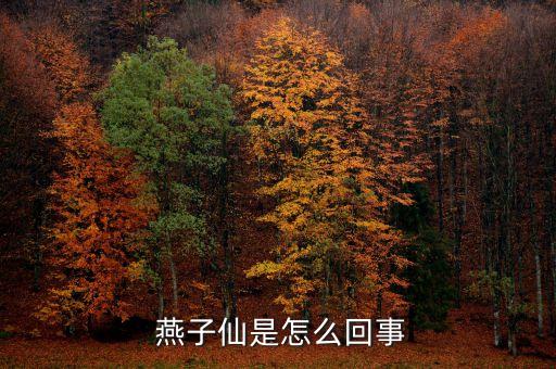  燕子仙是怎么回事