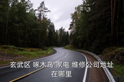 玄武区 啄木鸟 家电 维修公司地址在哪里