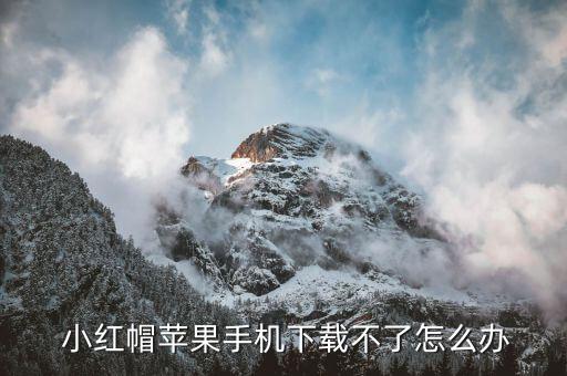  小红帽苹果手机下载不了怎么办