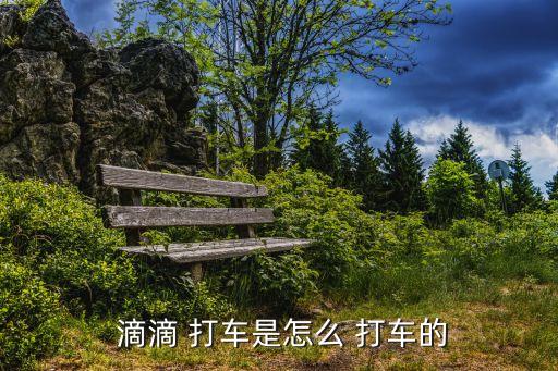  滴滴 打车是怎么 打车的