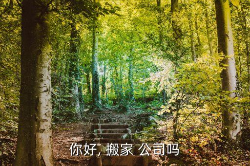 齐齐哈尔长途搬家公司