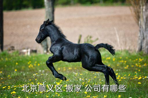 北京顺义区 搬家 公司有哪些