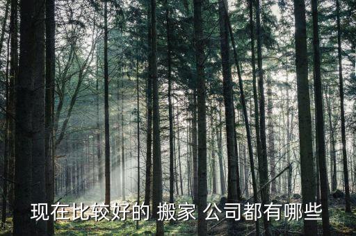 佛山搬家公司哪家最好用,上海搬家公司哪家口碑最好