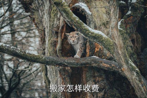  搬家怎样收费