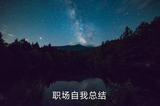 职场自我总结