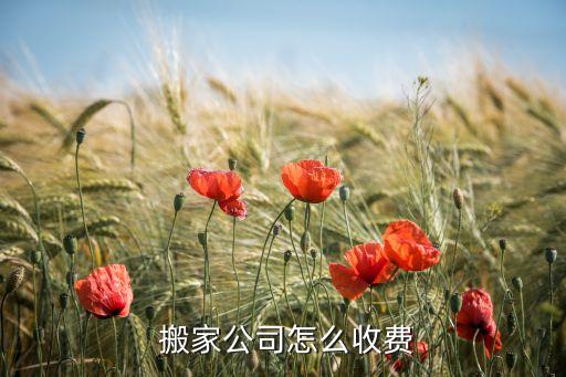  搬家公司怎么收费