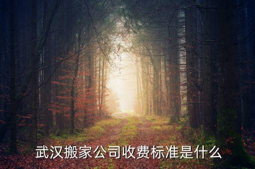  武汉搬家公司收费标准是什么