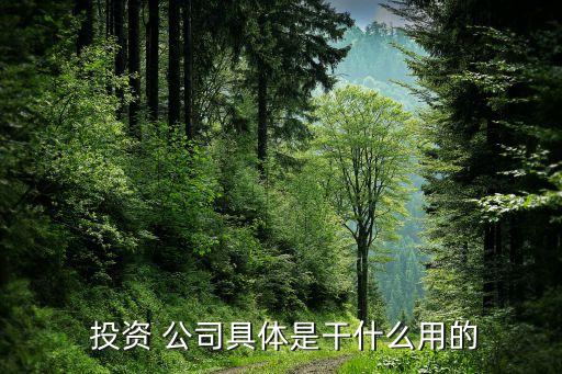 投资公司