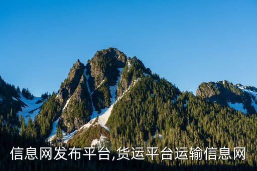 58信息网发布平台,货运平台运输信息网