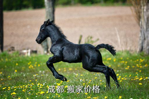 大连老兵搬家公司电话大全,沈阳市老兵搬家公司电话