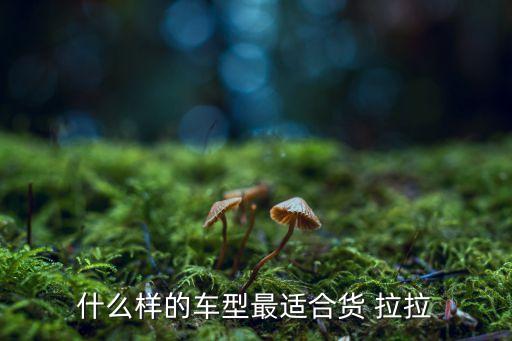 我要找货拉拉面包车
