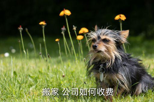  搬家 公司如何收费