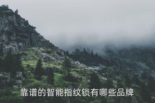 靠谱的智能指纹锁有哪些品牌
