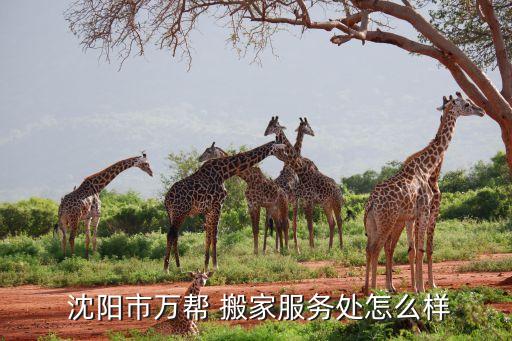 沈阳市搬家公司电话查询,大连搬家公司电话查询