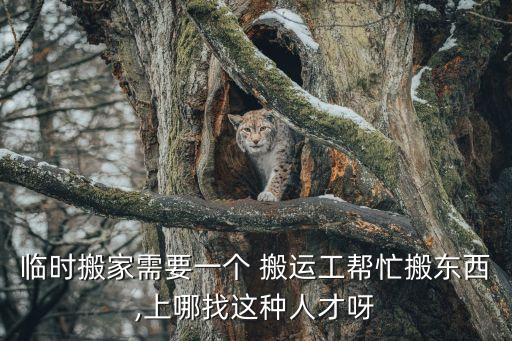 临时搬家需要一个 搬运工帮忙搬东西,上哪找这种人才呀
