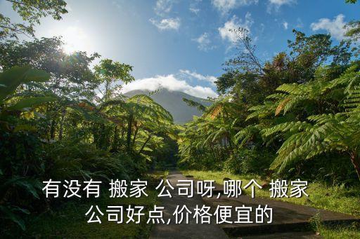 莱芜市搬家公司哪家好一点