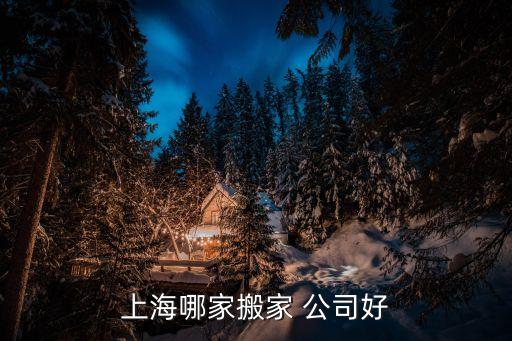 上海哪家搬家 公司好
