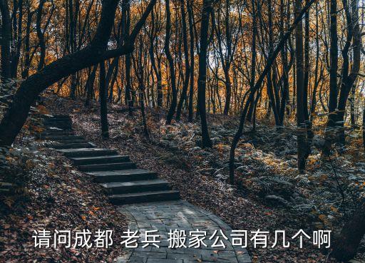 请问成都 老兵 搬家公司有几个啊