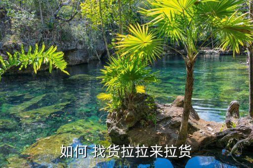 如何 找货拉拉来拉货