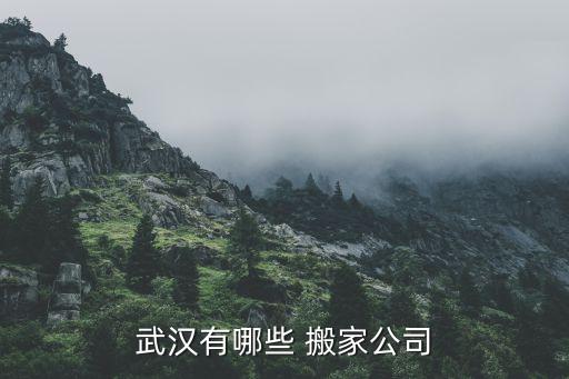 武汉有哪些 搬家公司